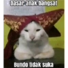 KUCING MEME 29