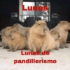 Hoy es lunes🥲😔✨ 5