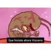Que hiciste ahora Vizcarra