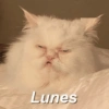 Hoy es lunes🥲😔✨ 8