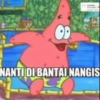 Patrick 13