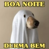 BOM DIA PRA VC 🌞 17