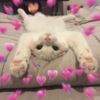 CAT CUTE EDIT😆 15