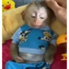 Reações totalmente aleatórias  7