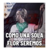 Cachai Poesía 7