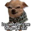 ம் Lo siento pero me tengo que reír