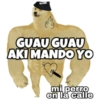 PERRO MUSCULOSO 🇦🇷 11