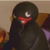 Memes do Pingu 🐧 18