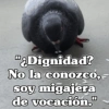 🧿Frases Migajeras🍞🐦 10