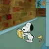 Snoopy  20