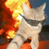 Gatitos apocalípticos 🙀 25
