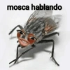 🦟Mira, una mosca 🦟 bzz 15
