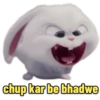 Secret Life of Pets 12