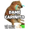 PERRO MUSCULOSO 🇦🇷 12