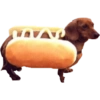 Hot dog and bread 15