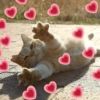 💖💞Love Reactions 4💞💖 22