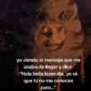 🥚😸Huevo disfrazado de Gato😸🥚 19