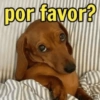 Você vai sim 7