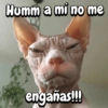 Humm a mi no me engañas!!!