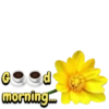 Good morning 27