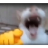Reactions 15