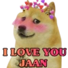 Memes 12