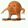 Laranjo 23