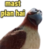 Secret Life of Pets 15
