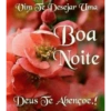 Bom dia,Boa tarde,Boa noite 17
