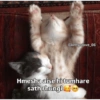 Funny quotes 🤠 14