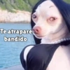 Perritos pal chat 🐕 5
