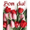 Bom dia,Boa tarde,Boa noite 19