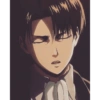Levi 24