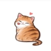 Kucing oyen 12