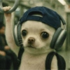 Cosas de Perritos 5🤎🐶✨ 10