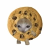 кошачья еда 12