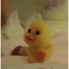 Bebek 19