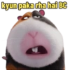 Secret Life of Pets 16