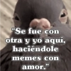 🧿Frases Migajeras🍞🐦 8