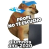PERRO MUSCULOSO 🇦🇷 14