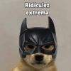 Perritos pal chat 🐕 28