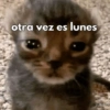 Hoy es lunes🥲😔✨ 11