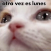 Hoy es lunes🥲😔✨ 15