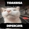 Meme Kucing #5 8
