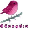 Günaydın 3 9