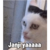 Janji yaaaaa