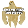 PERRO MUSCULOSO 🇦🇷 15