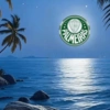 Palmeiras 🍃✨ 10