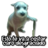 Esto te va a costar caro desgraciado