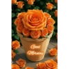 Good morning 28